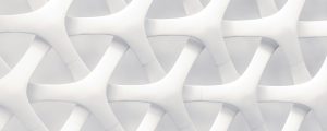 white and gray optical illusion